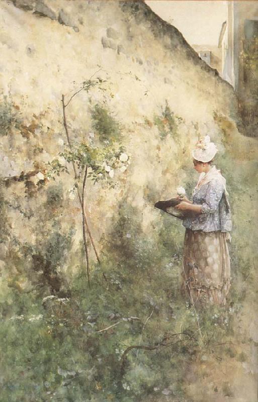 Carl Larsson The Old Wall oil painting image